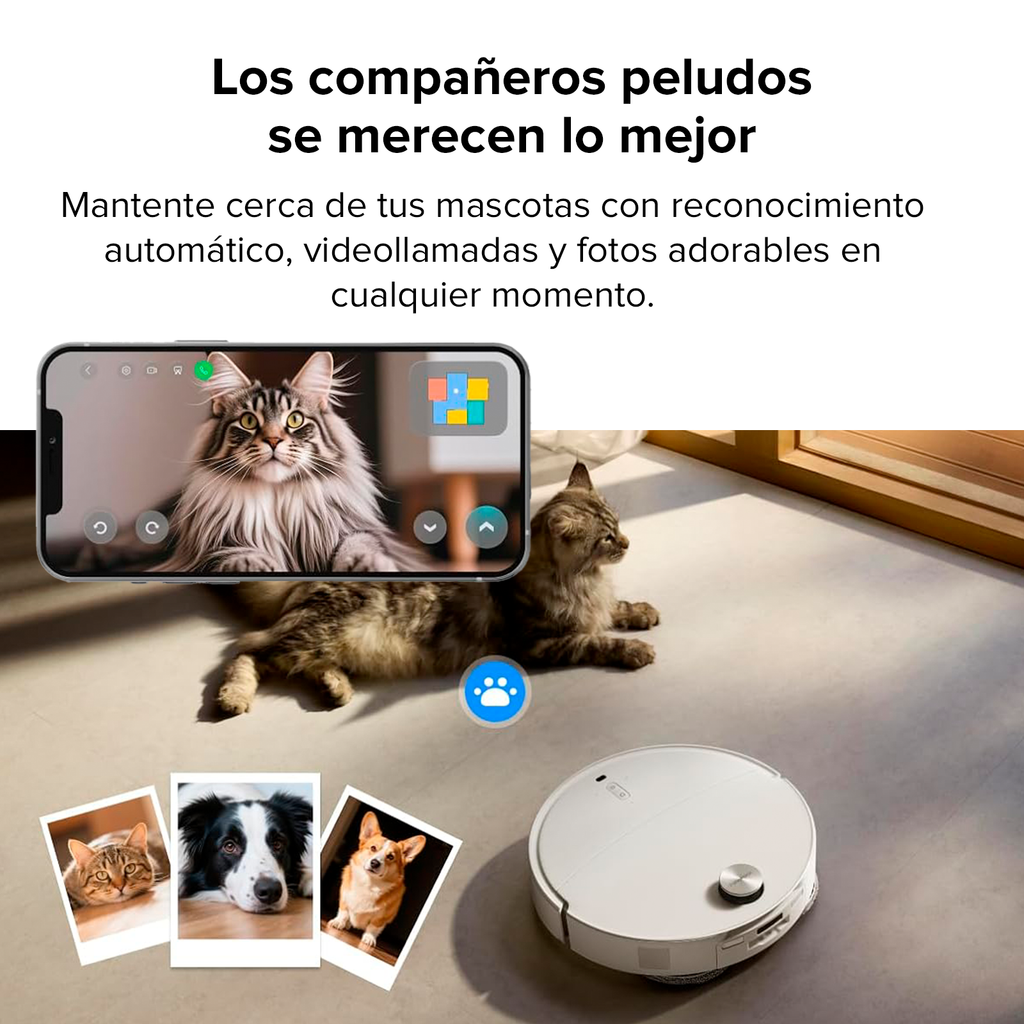 Roborock Qrevo CurvX